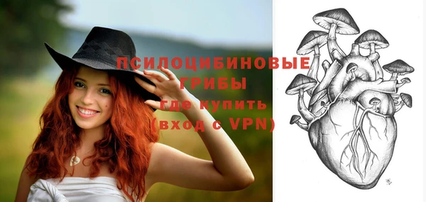 крисы Липки