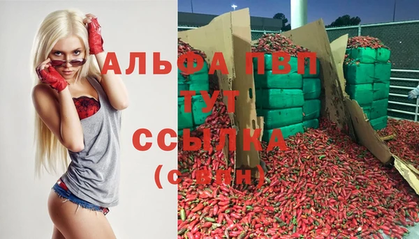 jwh Магас