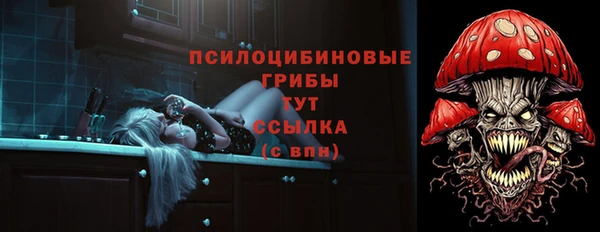 спиды Майский