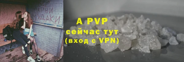 крисы Липки