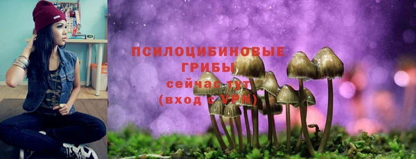 mdma Лиски