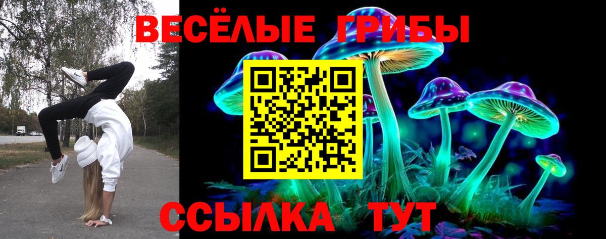 Галлюциногенные грибы Psilocybe Славянск-на-Кубани