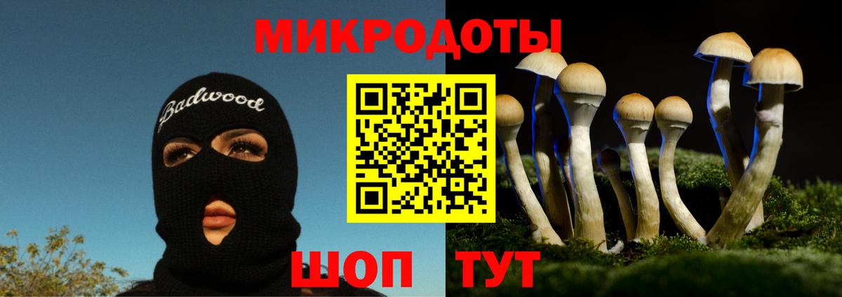 Галлюциногенные грибы MAGIC MUSHROOMS  Вход с VPN  Славянск-на-Кубани 